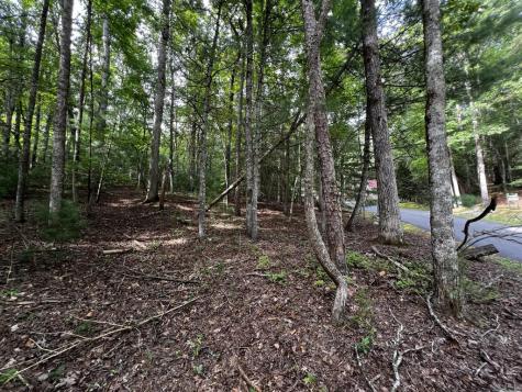 9 Dover Falls Trail Ellijay GA 30540