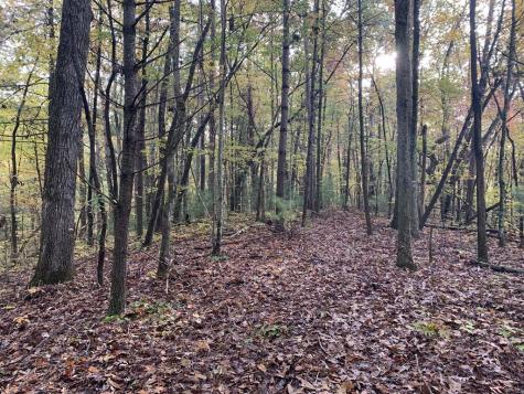 9 Dover Falls Trail Ellijay GA 30540