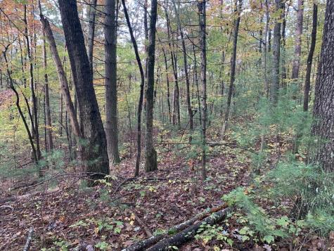 9 Dover Falls Trail Ellijay GA 30540