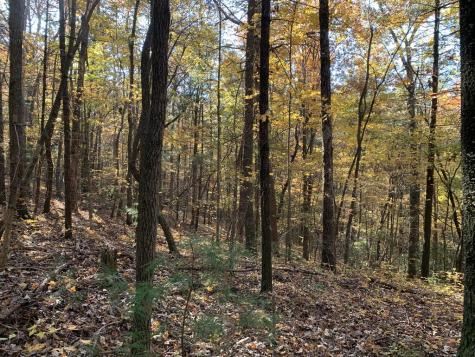 9 Dover Falls Trail Ellijay GA 30540