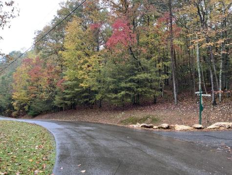 9 Dover Falls Trail Ellijay GA 30540