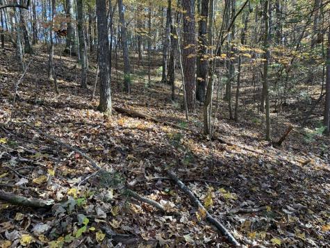 9 Dover Falls Trail Ellijay GA 30540