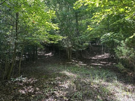 Tbd Hidden River Hayesville NC 28904