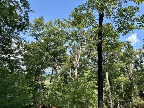 Tbd Hidden River Hayesville NC 28904