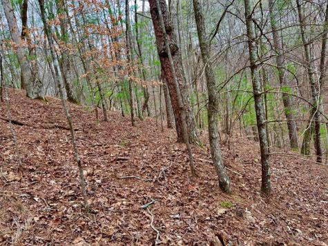 2961 Newton Lane Ellijay GA 30540