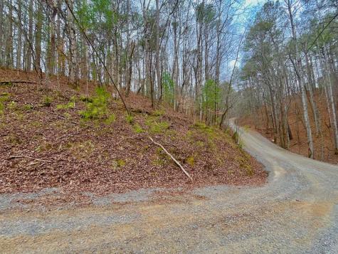 2961 Newton Lane Ellijay GA 30540