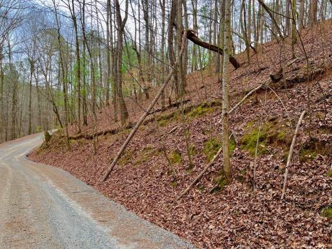 2961 Newton Lane Ellijay GA 30540