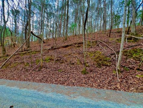 2961 Newton Lane Ellijay GA 30540