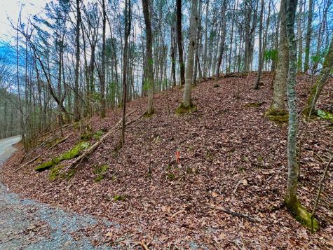 2961 Newton Lane Ellijay GA 30540