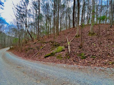 2961 Newton Lane Ellijay GA 30540