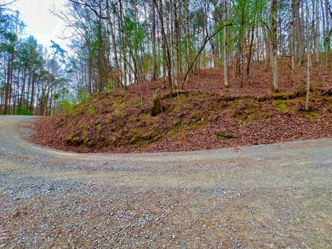 2961 Newton Lane Ellijay GA 30540