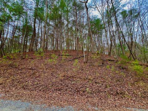 2961 Newton Lane Ellijay GA 30540