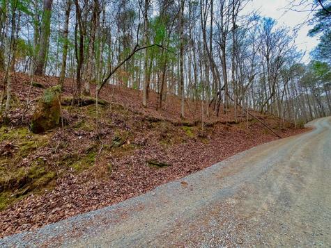 2961 Newton Lane Ellijay GA 30540