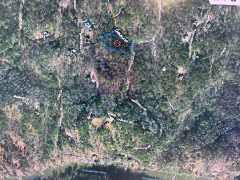 2961 Newton Lane Ellijay GA 30540