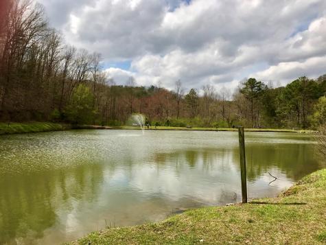 2961 Newton Lane Ellijay GA 30540