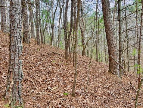 2961 Newton Lane Ellijay GA 30540