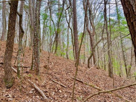 2961 Newton Lane Ellijay GA 30540