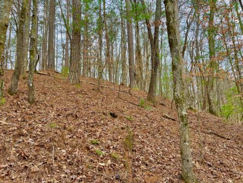 2961 Newton Lane Ellijay GA 30540