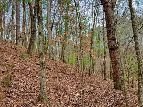 2961 Newton Lane Ellijay GA 30540