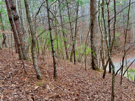 2961 Newton Lane Ellijay GA 30540