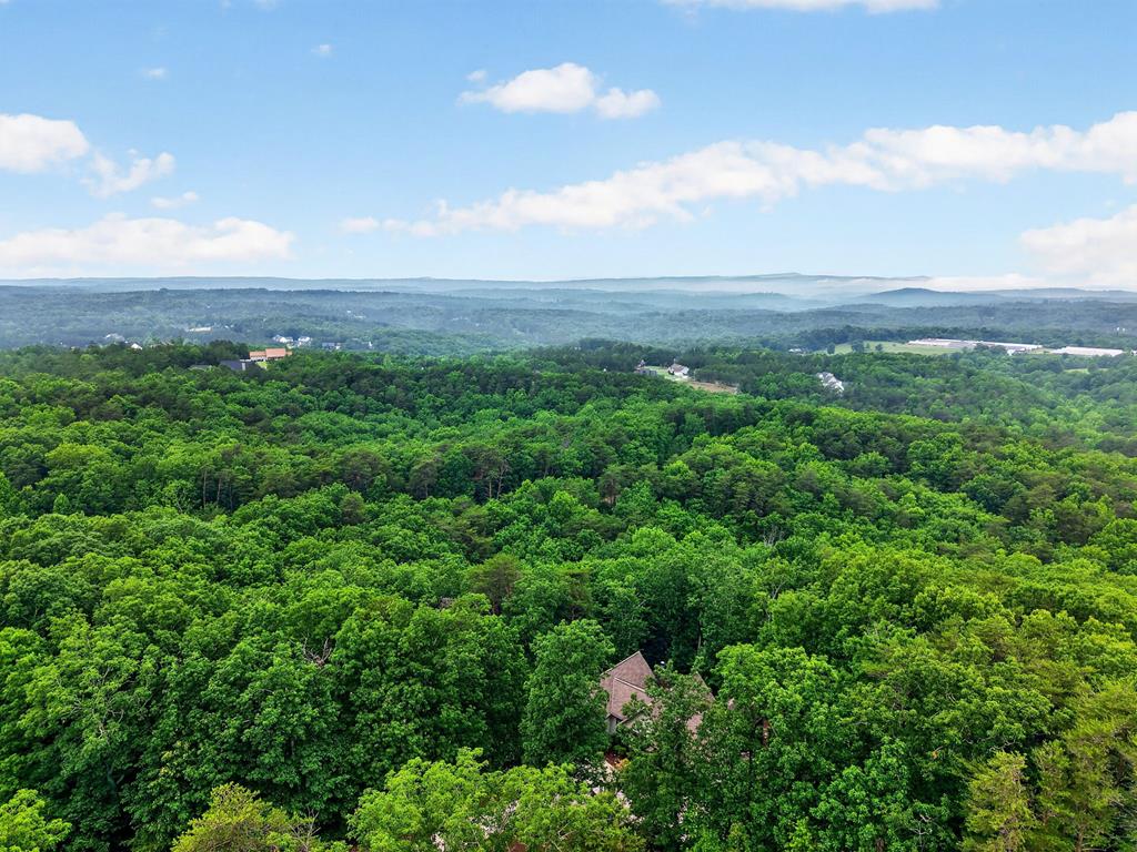 0 Ridgeside Court Jasper GA 30143