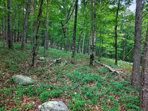 0 Ridgeside Court Jasper GA 30143