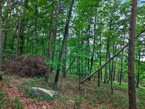 0 Ridgeside Court Jasper GA 30143