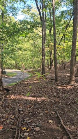 315 Windflower Drive Big Canoe GA 30534