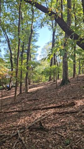 315 Windflower Drive Big Canoe GA 30534
