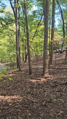 315 Windflower Drive Big Canoe GA 30534