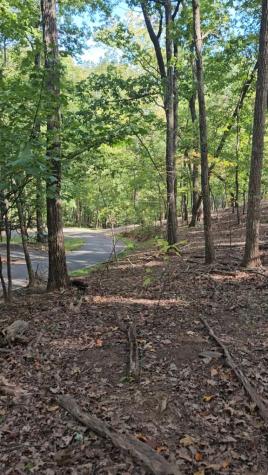 315 Windflower Drive Big Canoe GA 30534