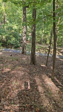 315 Windflower Drive Big Canoe GA 30534