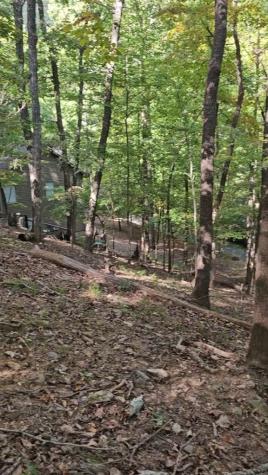 315 Windflower Drive Big Canoe GA 30534