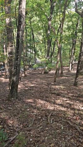 315 Windflower Drive Big Canoe GA 30534