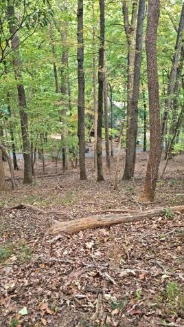 315 Windflower Drive Big Canoe GA 30534