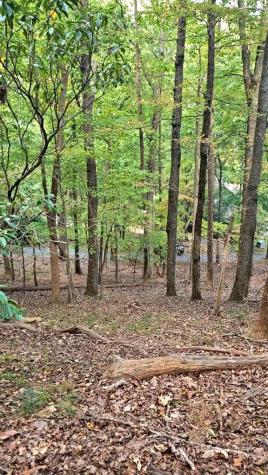 315 Windflower Drive Big Canoe GA 30534