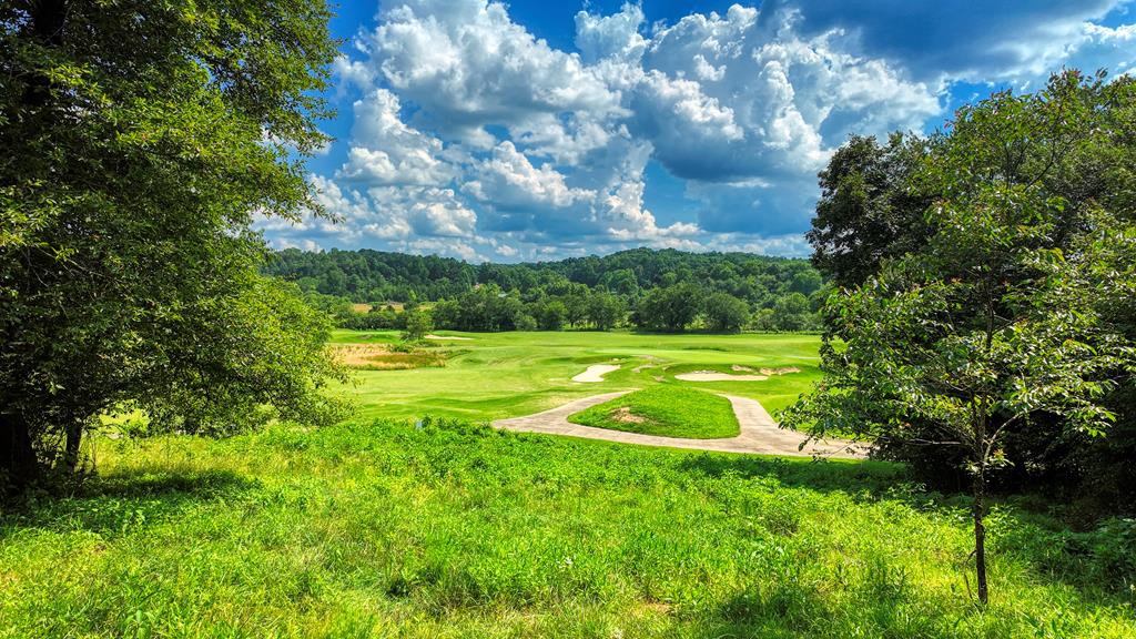 Lot 208 Owen Glen Blairsville GA 30512