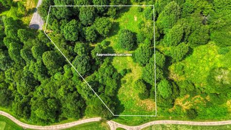 Lot 208 Owen Glen Blairsville GA 30512