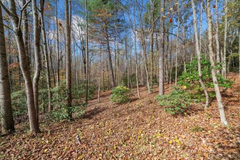 Lot 15 Highpoint Ridge Court Ellijay GA 30536