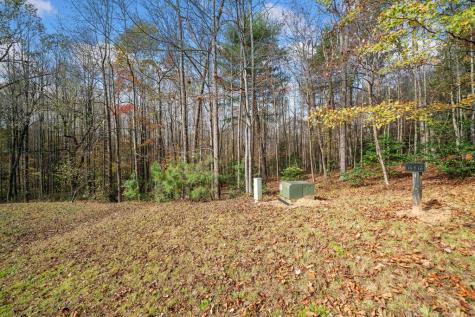 Lot 15 Highpoint Ridge Court Ellijay GA 30536