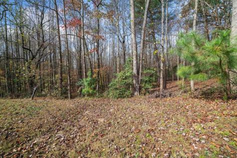 Lot 15 Highpoint Ridge Court Ellijay GA 30536