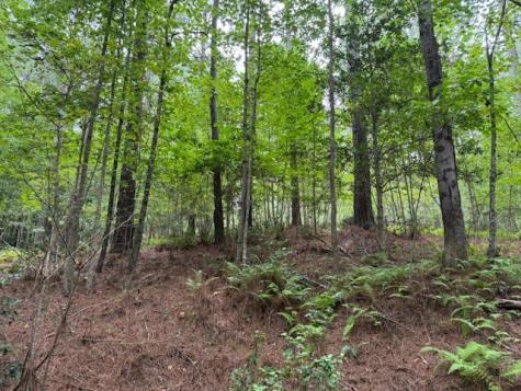 000 Deyton Drive Blairsville GA 30512