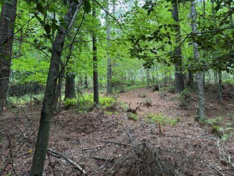 000 Deyton Drive Blairsville GA 30512