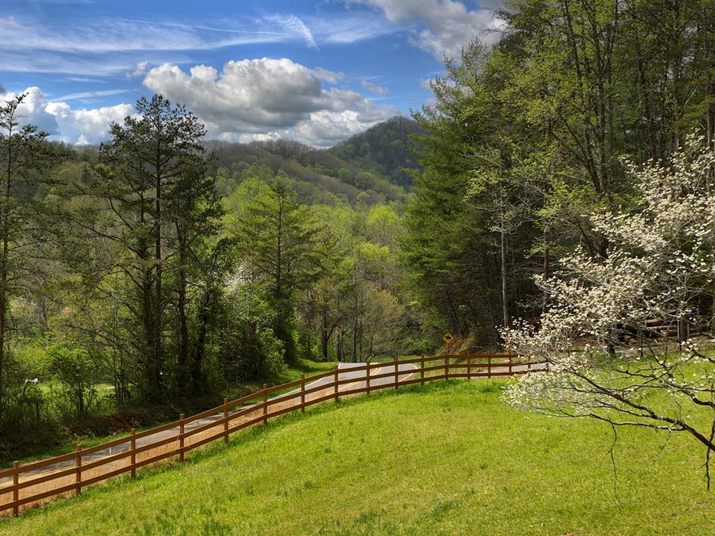 9.13 Ac Hells Hollow Road Blue Ridge GA 30513
