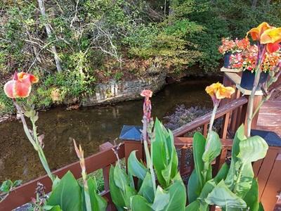 13 Choestoe Valley Circle Blairsville GA 30512