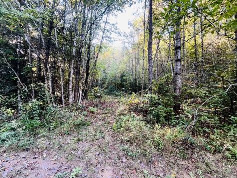 1885 Flea Mountain Road Murphy NC 28906