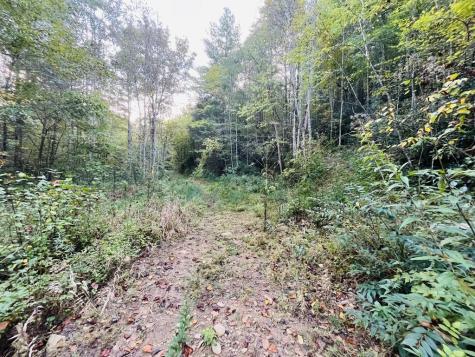 1885 Flea Mountain Road Murphy NC 28906