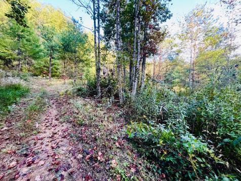 1885 Flea Mountain Road Murphy NC 28906