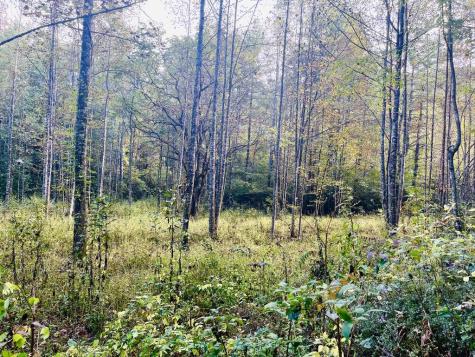 1885 Flea Mountain Road Murphy NC 28906
