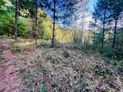 1885 Flea Mountain Road Murphy NC 28906